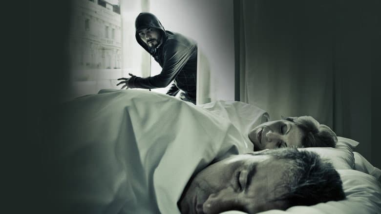 A Stranger in My Home