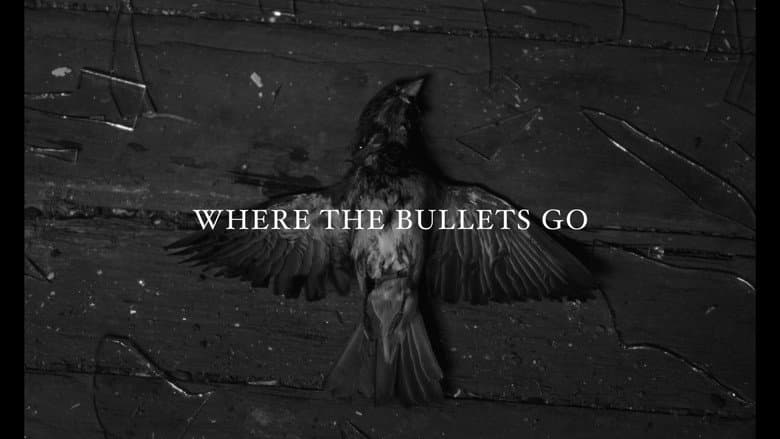 Where the Bullets Go