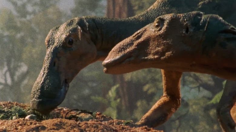 Dinosaur!