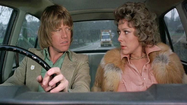 Confessions of a Driving Instructor