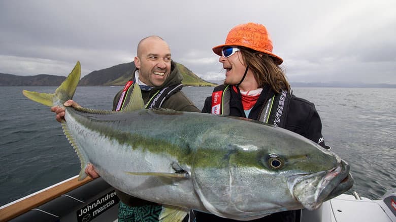 Big Angry Fish