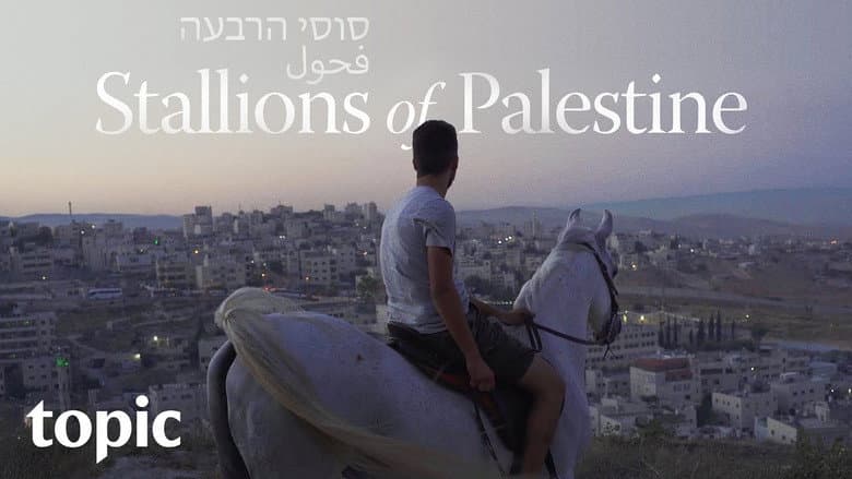 Stallions of Palestine