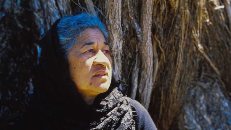 Mauri