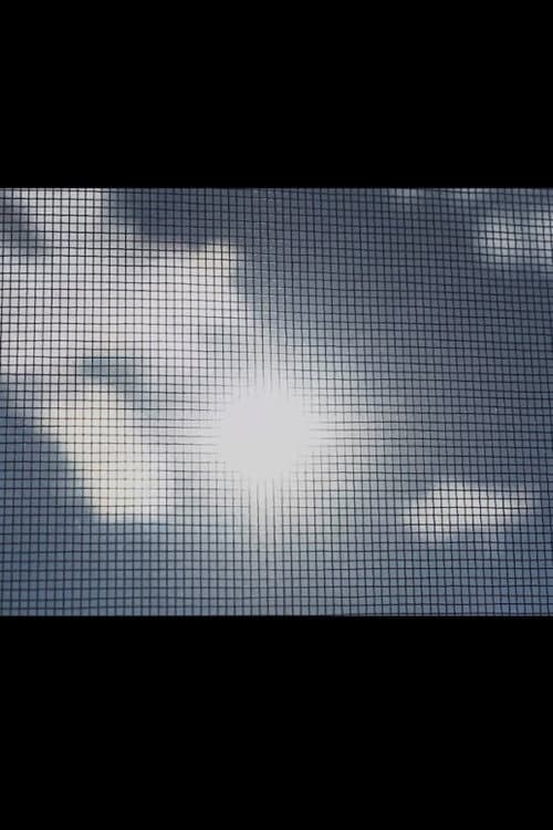 A Study In Meshes